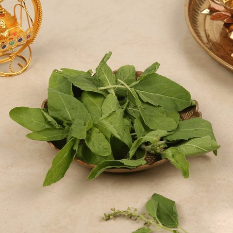Holy Tulsi Leaves