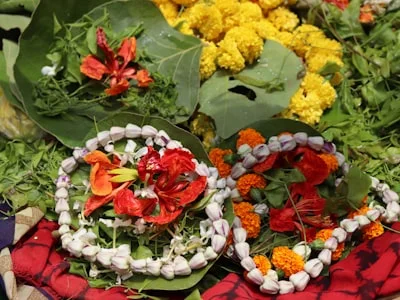 Fresh Tulsi Leaves
